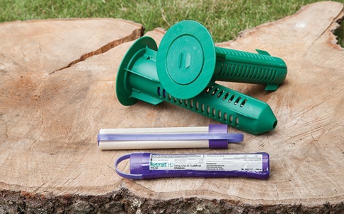 sentricon bait station parts on a tree