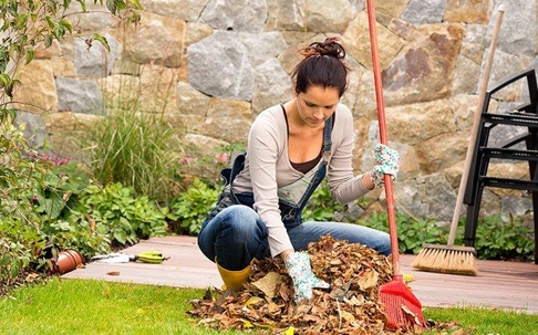 spring cleaning yard for pest prevention