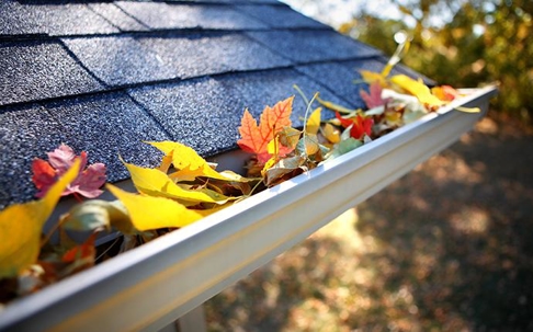 a rain gutter full of leaves