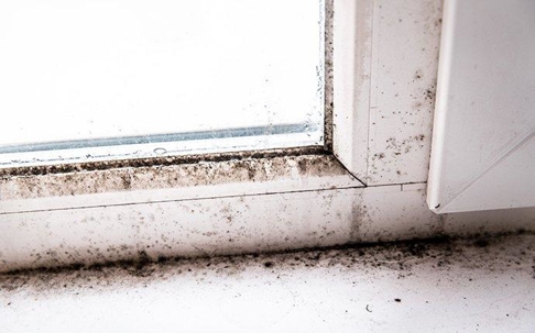 mold due to moisture