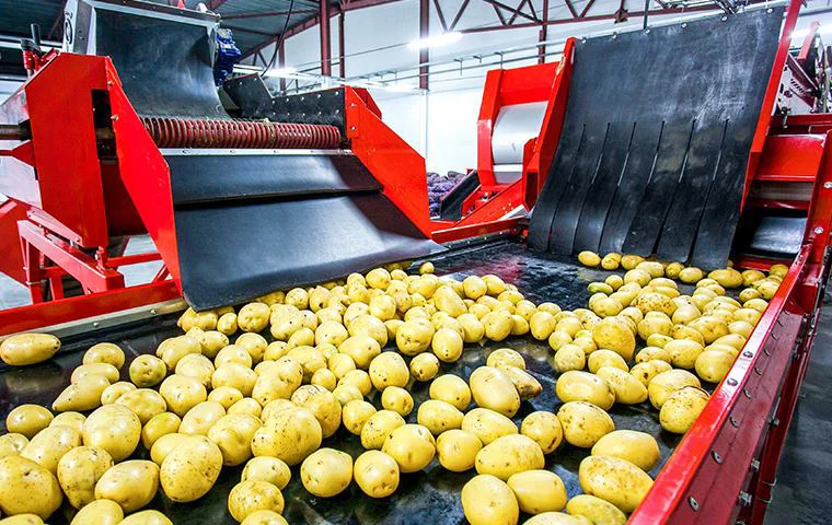 Food & Beverage Processing